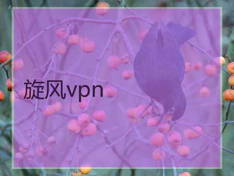 旋风vpn