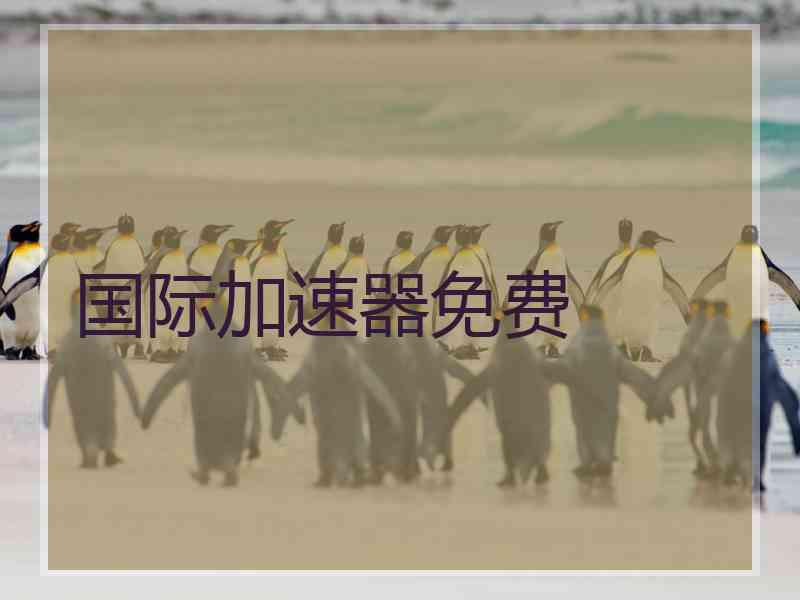 国际加速器免费