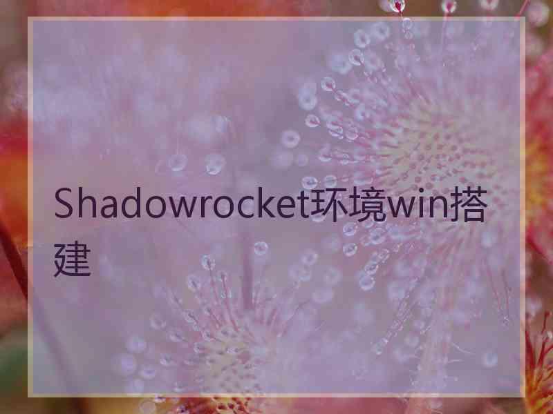 Shadowrocket环境win搭建