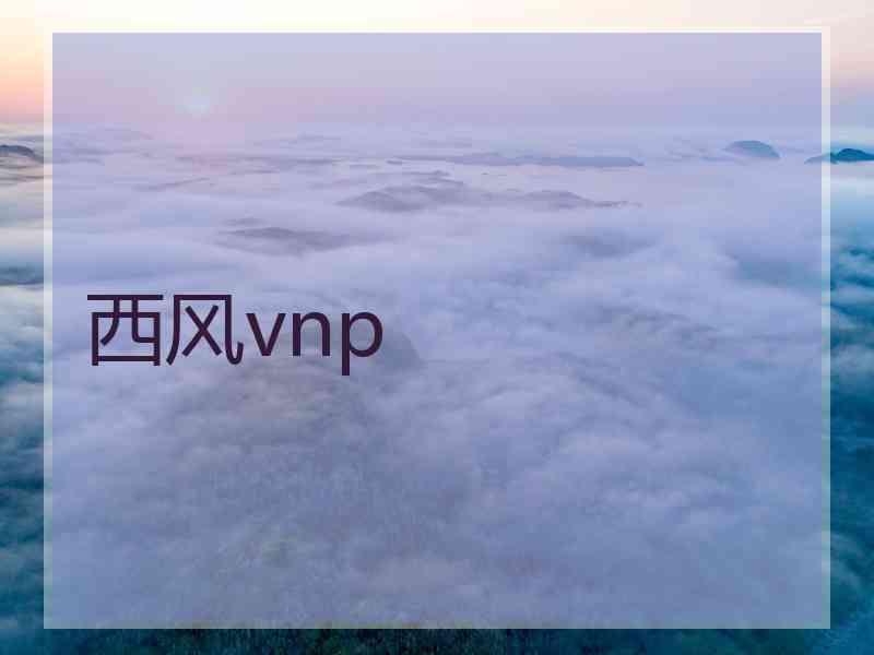 西风vnp