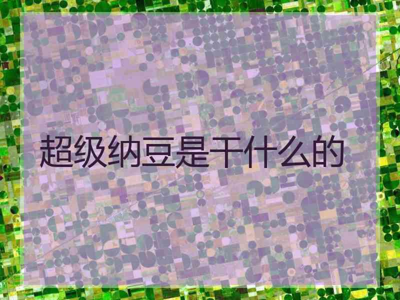 超级纳豆是干什么的