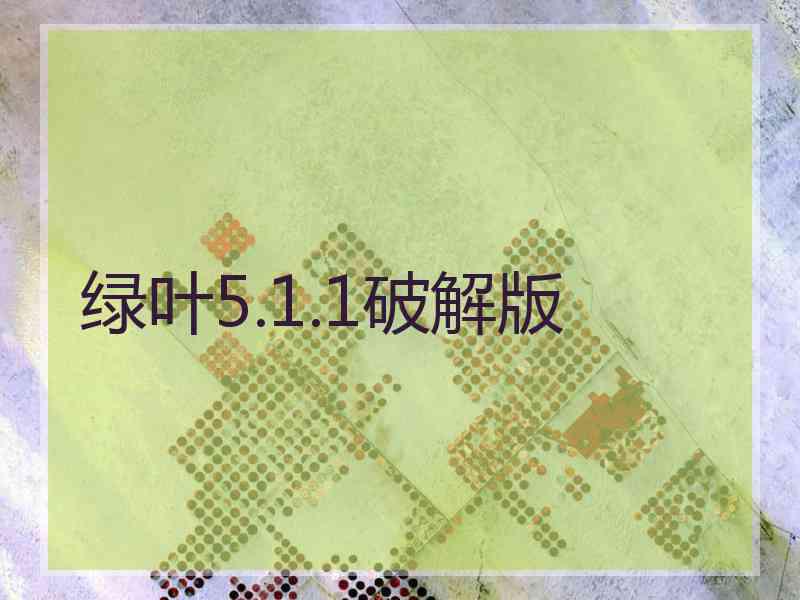 绿叶5.1.1破解版