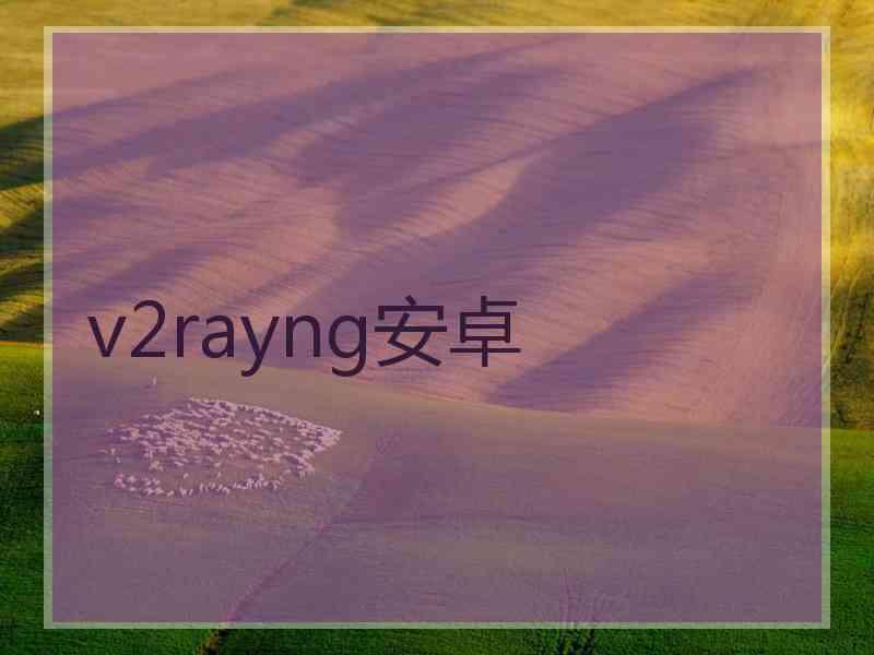 v2rayng安卓