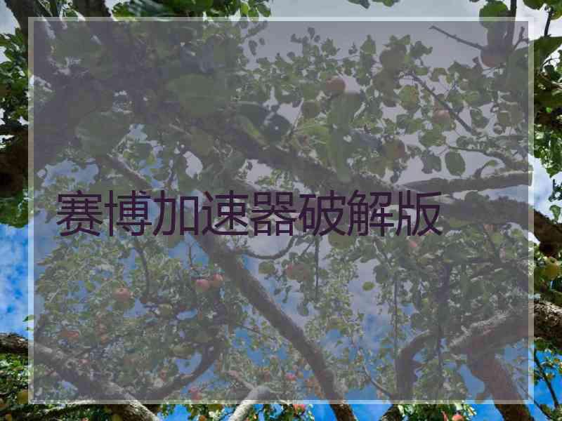 赛博加速器破解版