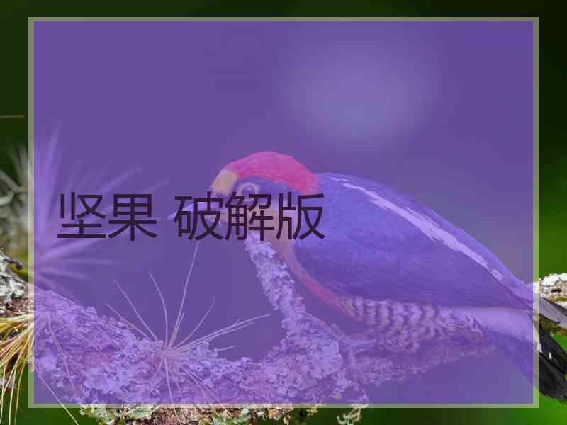 坚果 破解版