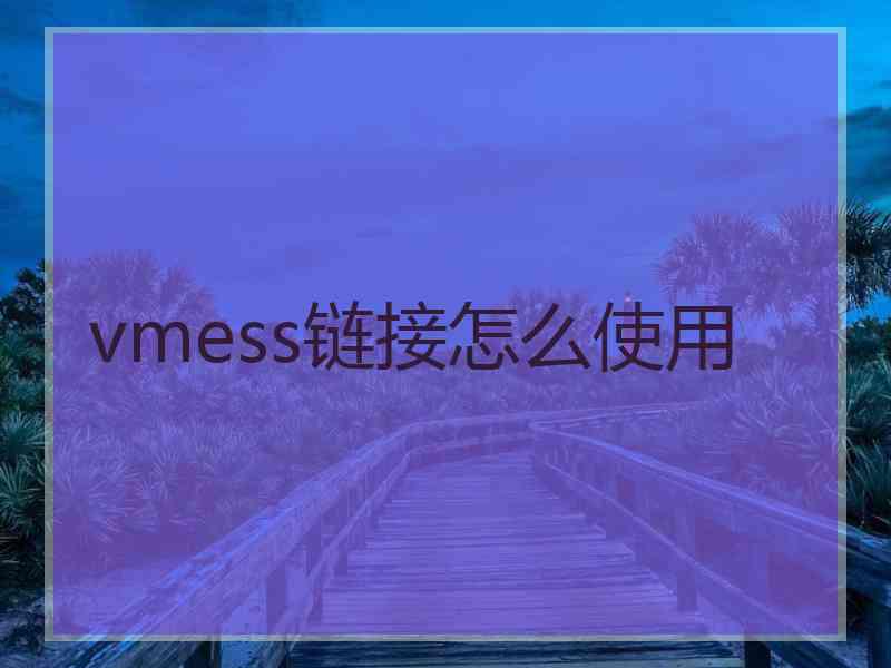 vmess链接怎么使用
