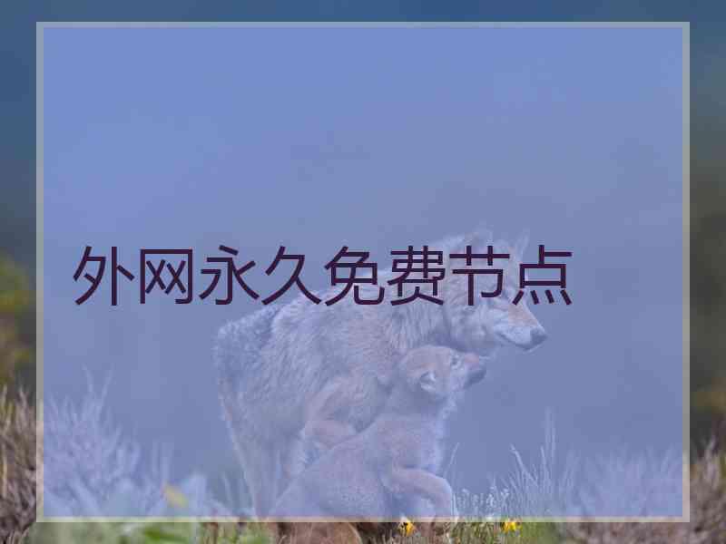 外网永久免费节点