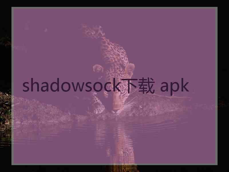 shadowsock下载 apk