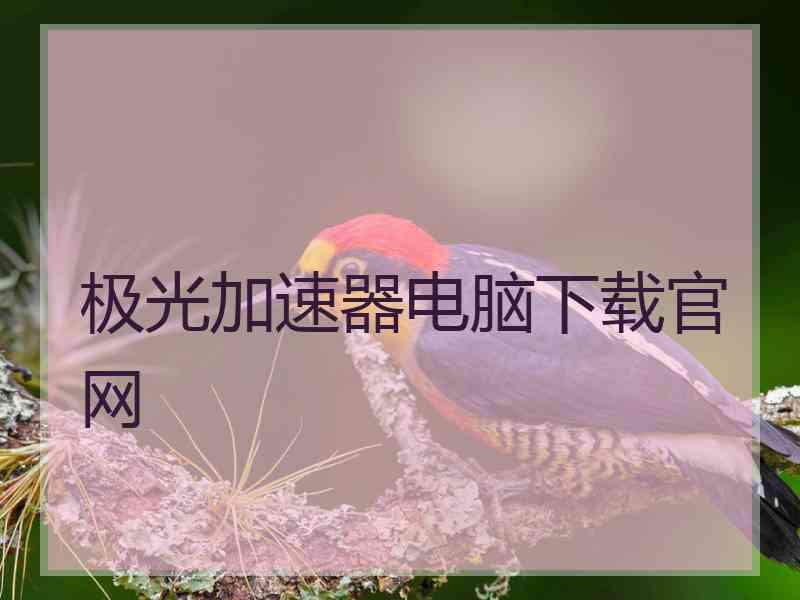 极光加速器电脑下载官网