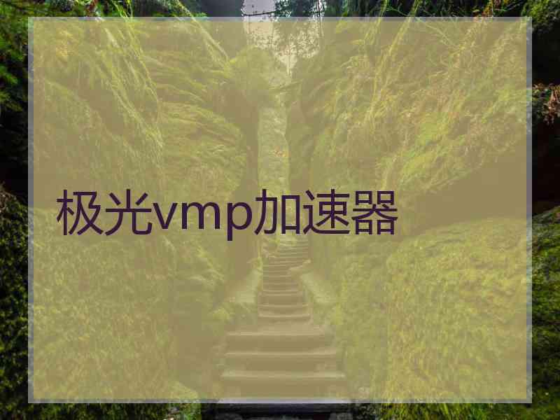 极光vmp加速器