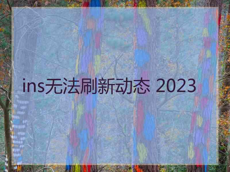 ins无法刷新动态 2023