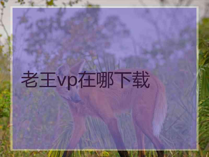 老王vp在哪下载