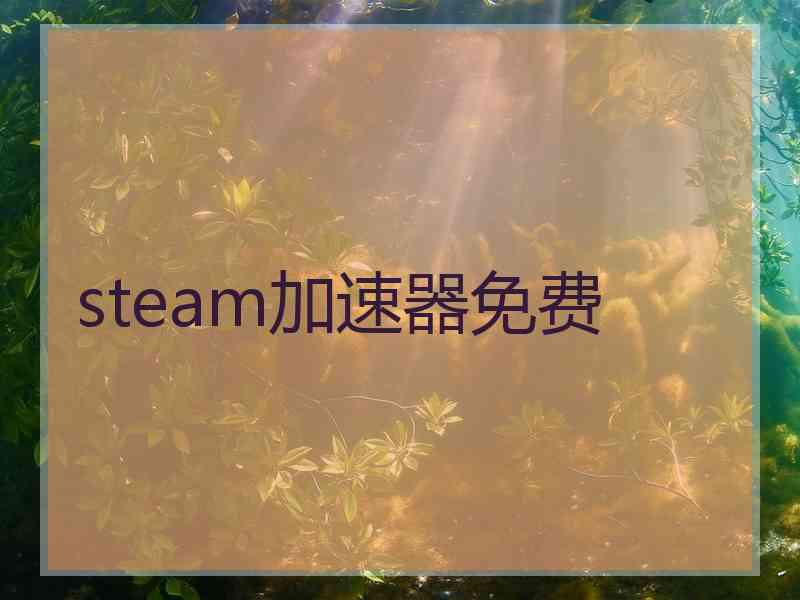 steam加速器免费