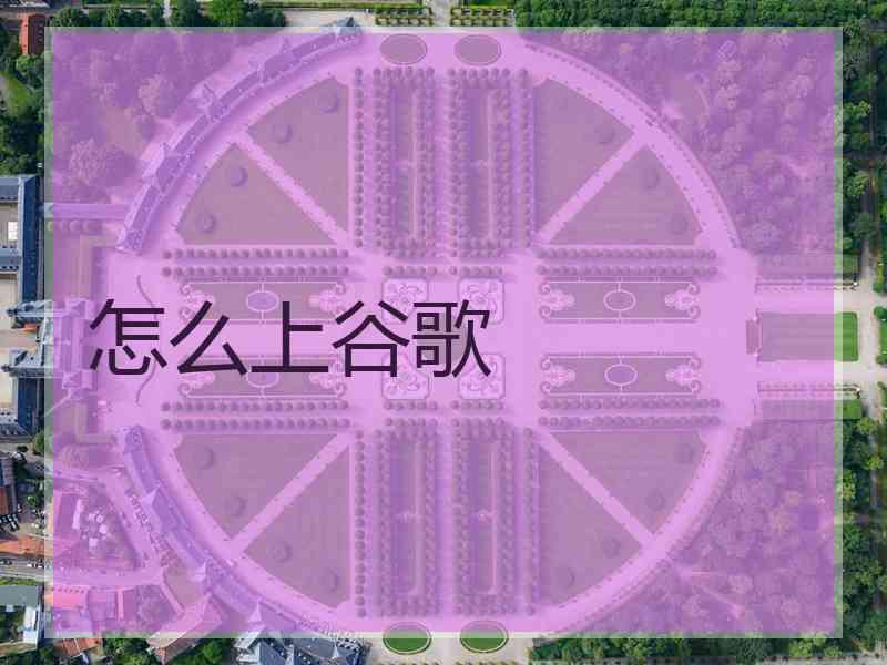 怎么上谷歌