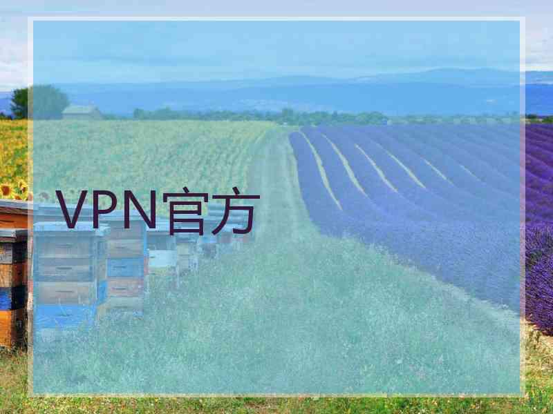 VPN官方