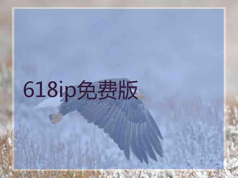 618ip免费版