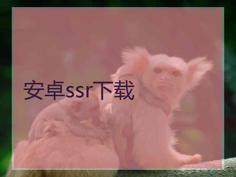 安卓ssr下载