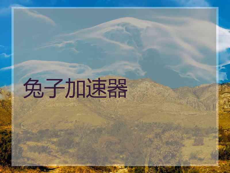 兔子加速器