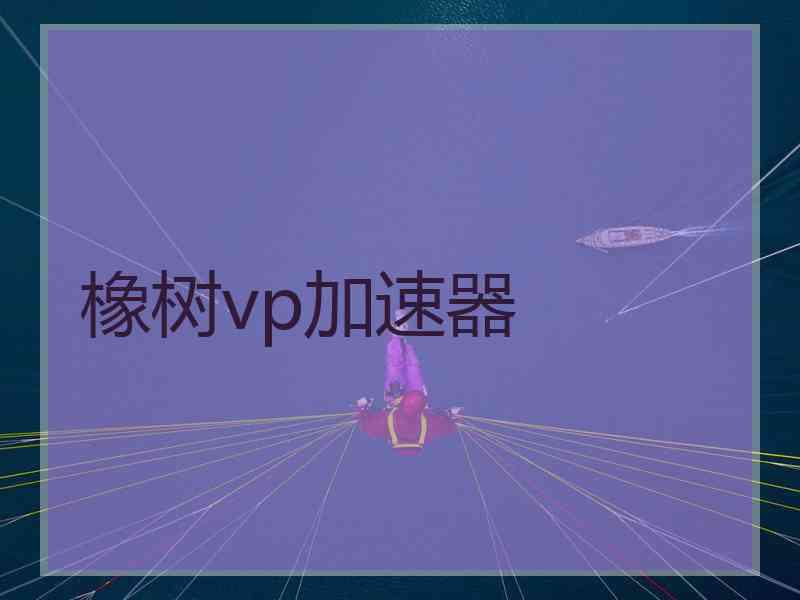 橡树vp加速器