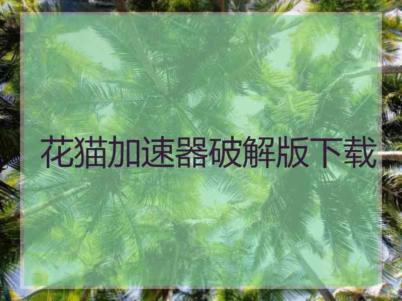 花猫加速器破解版下载