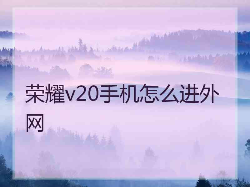 荣耀v20手机怎么进外网