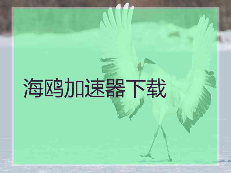 海鸥加速器下载
