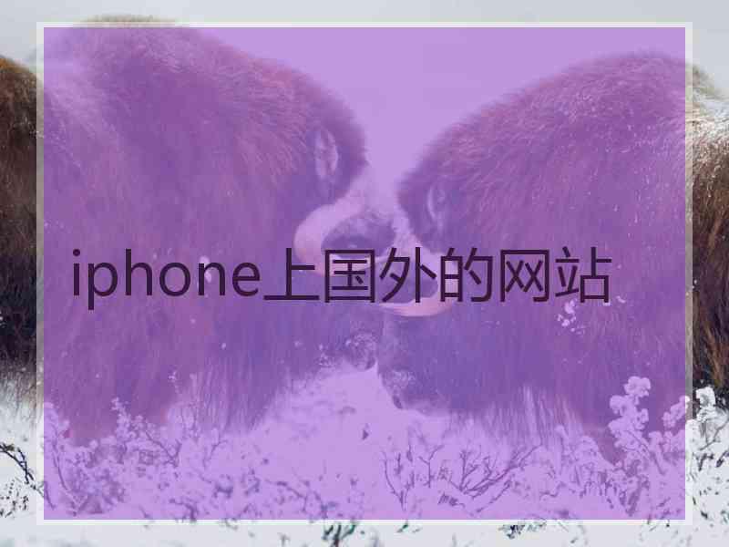 iphone上国外的网站