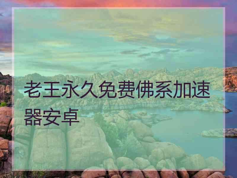 老王永久免费佛系加速器安卓