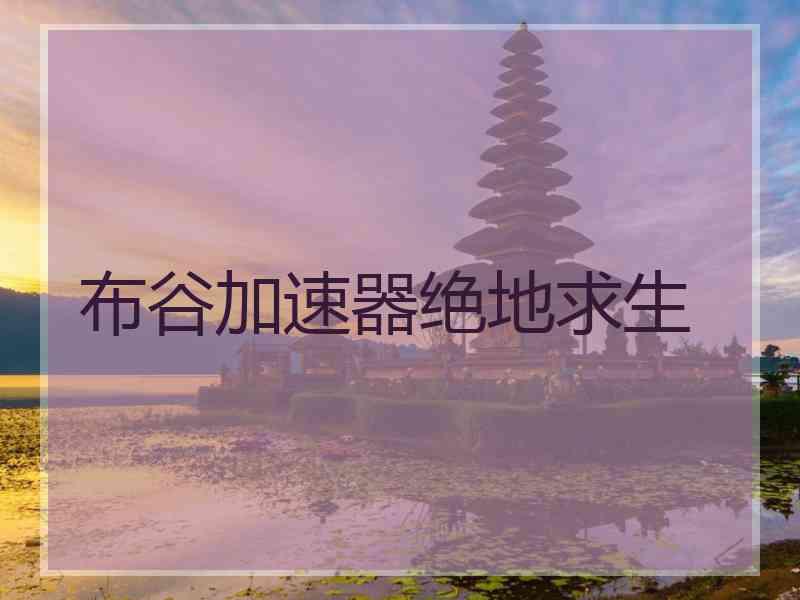 布谷加速器绝地求生