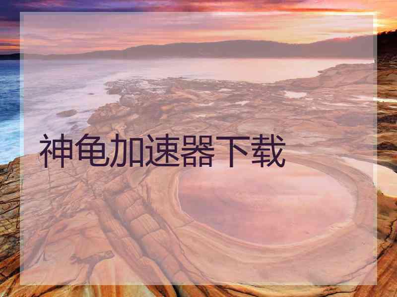 神龟加速器下载