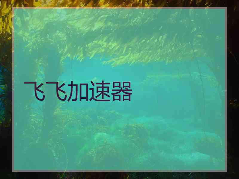 飞飞加速器
