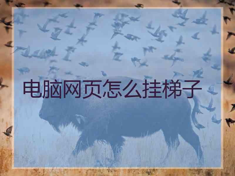 电脑网页怎么挂梯子