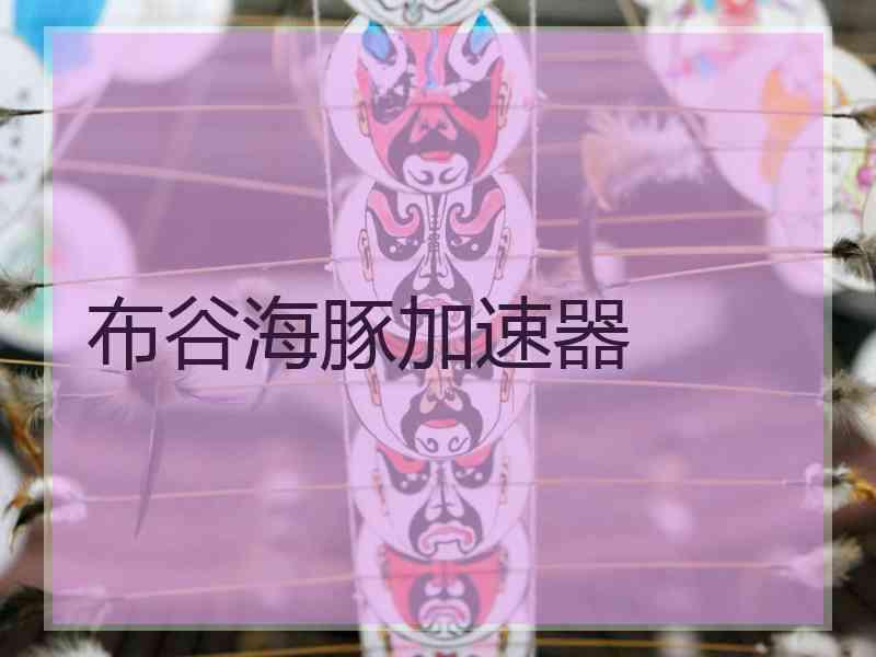 布谷海豚加速器