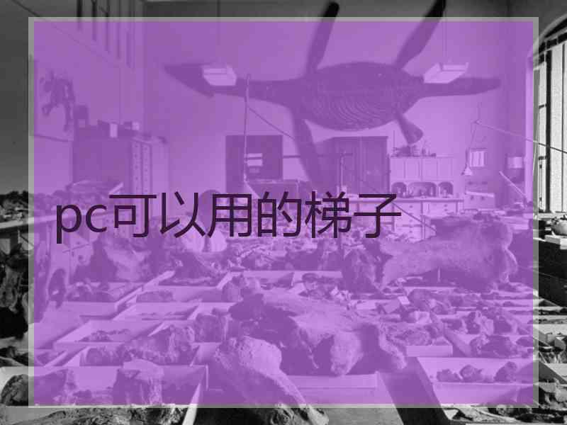 pc可以用的梯子