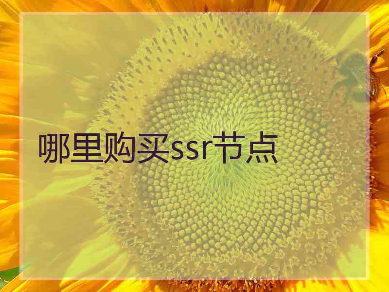 哪里购买ssr节点