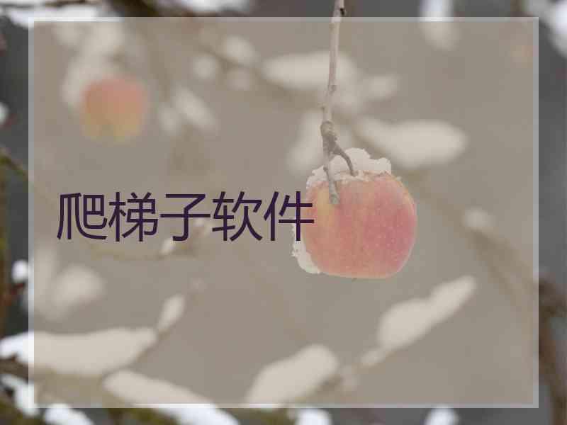 爬梯子软件