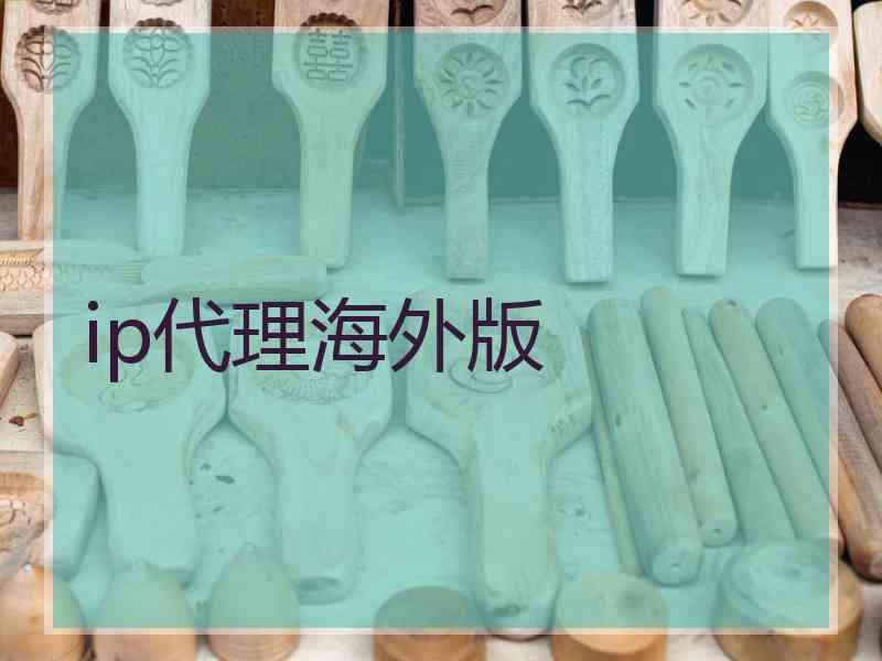 ip代理海外版