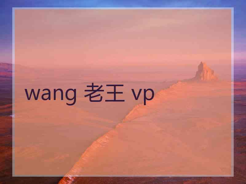 wang 老王 vp