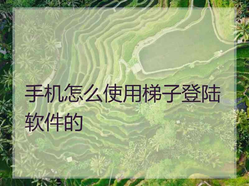 手机怎么使用梯子登陆软件的