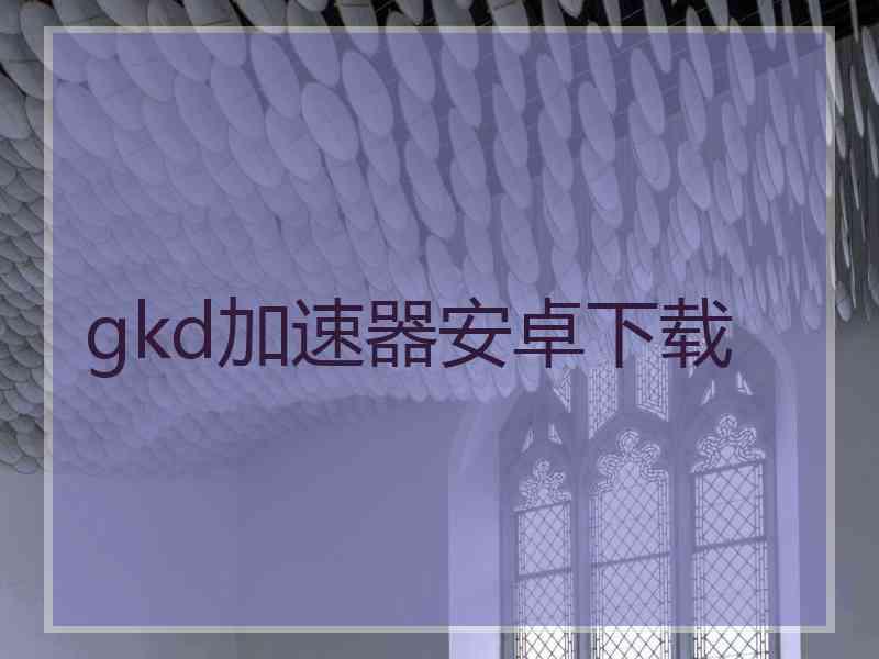 gkd加速器安卓下载