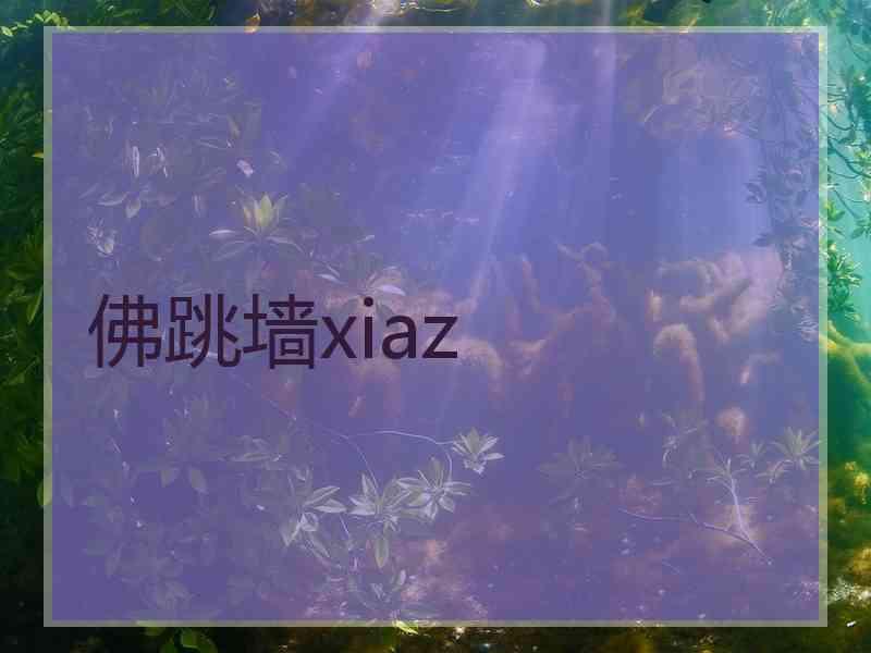 佛跳墙xiaz