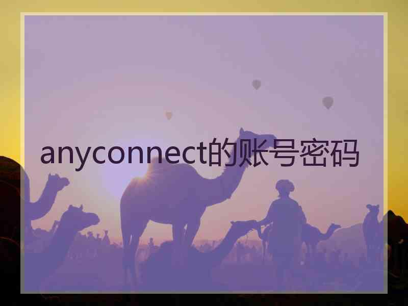 anyconnect的账号密码