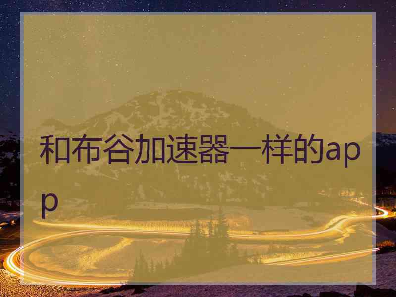 和布谷加速器一样的app