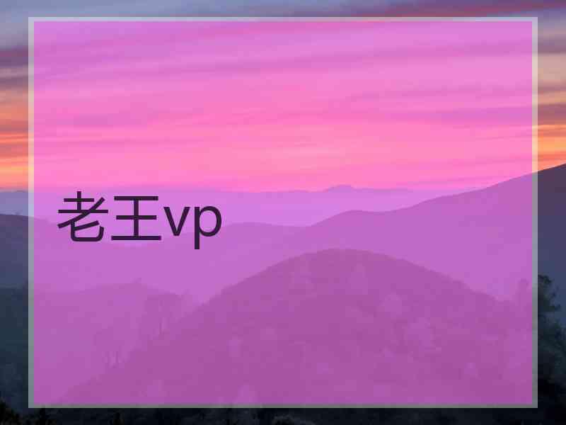 老王vp