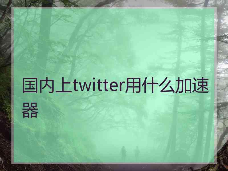 国内上twitter用什么加速器