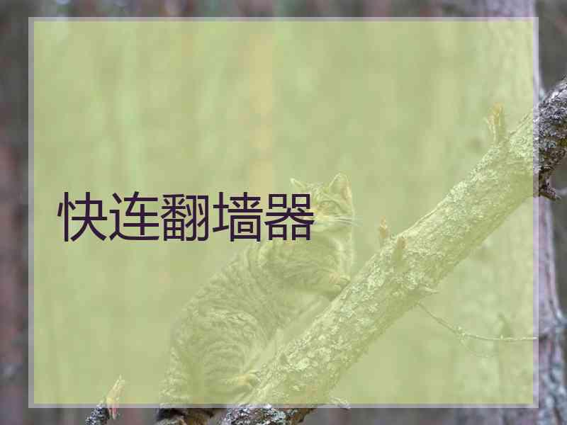 快连翻墙器