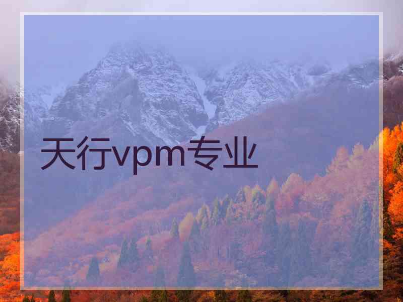 天行vpm专业