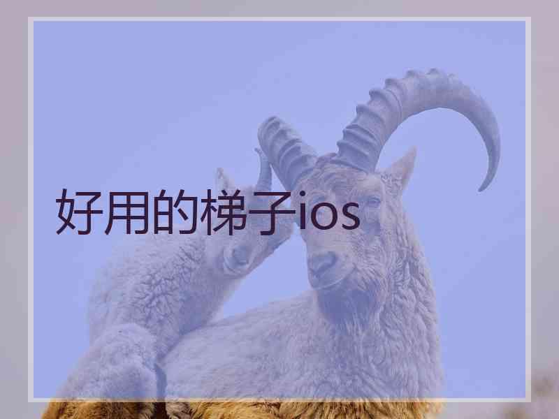 好用的梯子ios