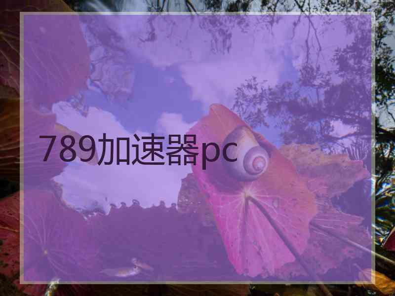 789加速器pc