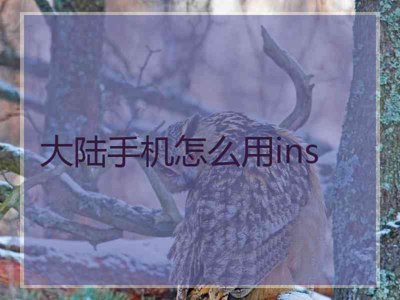 大陆手机怎么用ins